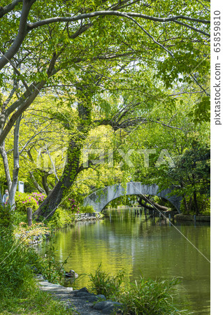 Shakujii Park 65859810
