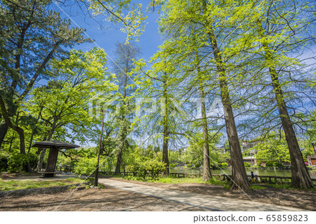 Shakujii Park Shakujii Park 65859823