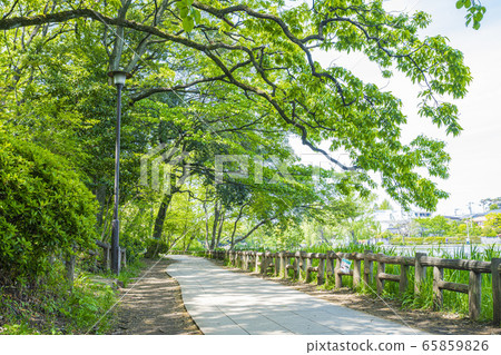 Shakujii公園 Shakujii公園 65859826