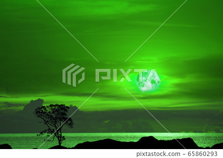 Flower  green moon and tree on the silhouette 65860293