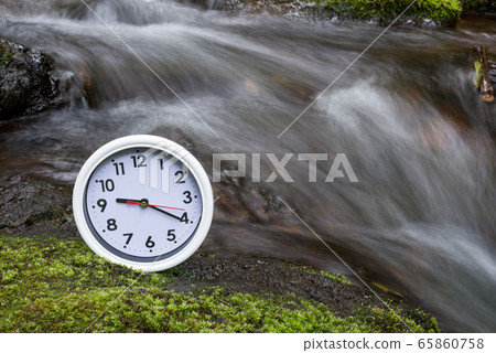 Wall clock on moss with a back of a swamp 65860758