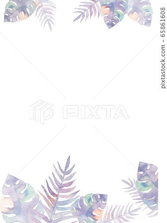 熱帶背景，龜背竹和棕櫚葉 65861608