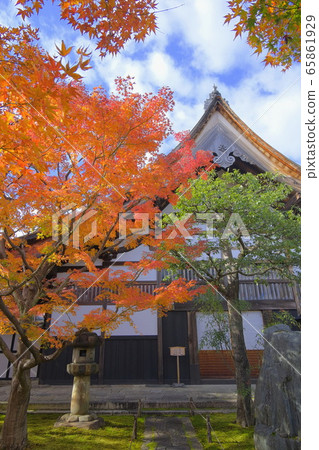 Daitokuji Temple Head Daitokuji Temple Head 65861929
