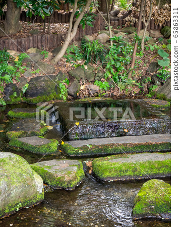 井之頭公園御茶水井景觀泉水 65863311