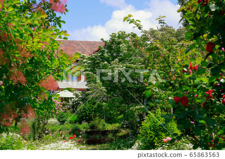 Garden House Garden House 65863563