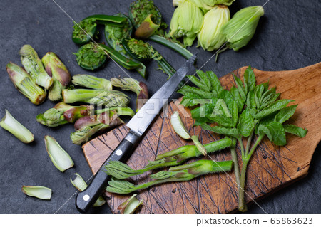 各種春季野生植物 各種春季野生植物 65863623