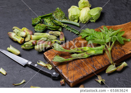 各種春季野生植物 各種春季野生植物 65863624