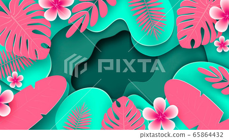 monstera thai constellation steckling Monstera 'Thai Constellation' Steckling kaufen main image 1