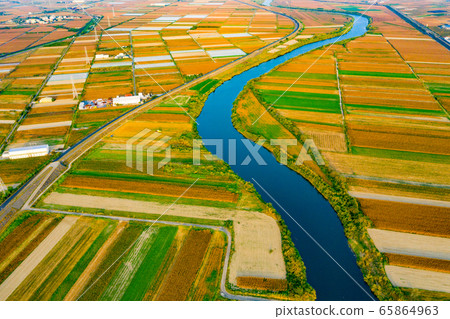 臺灣台南將軍麥田及稻田Tainan General Wheat and Rice Fields 65864963