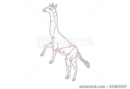88 Constellation Giraffe 88 Constellation Giraffe 65865097