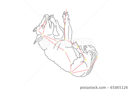 88 Constellation White Ursa 65865126