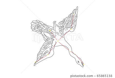 88 constellation White Cygnus 88 constellation White Cygnus 65865138