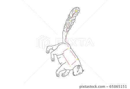 88星座小熊座 65865151