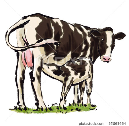 Ox 02 Ox 02 65865664