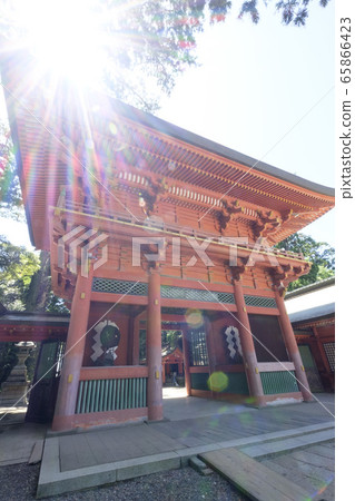 鹿島神宮的樹木產業和塔 鹿島神宮的樹木產業和塔 65866423