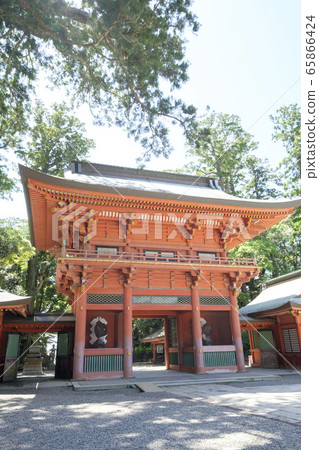 鹿島神宮的樹木產業和塔 65866424