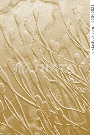 背景材料（雕刻圖像） 65866821