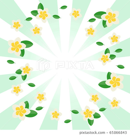 Flash and plumeria square 65866843