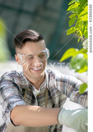 Involved dark-haired male in protective glasses and gloves trimming tree in the yard, smiling 65866886