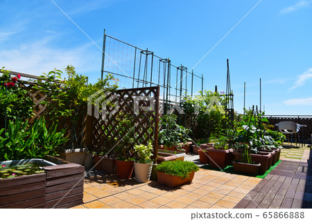 Sunny weather, roof balconies of apartments, self-sufficiency in the kitchen garden, pesticide-free cultivation and healthy living Sunny weather, roof balconies of apartments, self-sufficiency in the kitchen garden, pesticide-free cultivation and healthy living 65866888