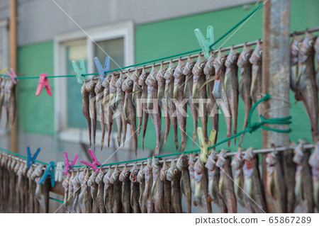 fishing village landscape. fresh fish market at the port in Korea 065 65867289