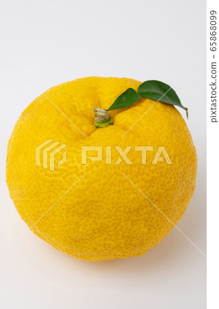 fresh fruit concept. close up of lemons and citrons 005 fresh fruit concept. close up of lemons and citrons 005 65868099
