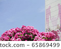 玫瑰公寓 65869499