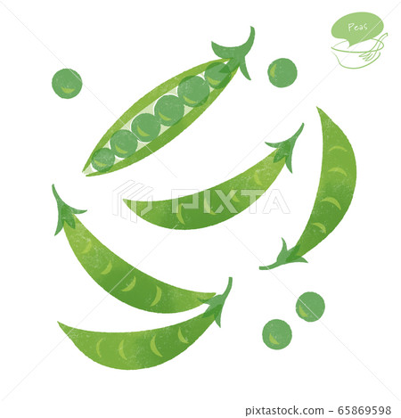 Hand drawn illustration of green peas 65869598