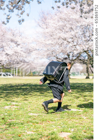 elementary student, primary school child, primary school student 65869752