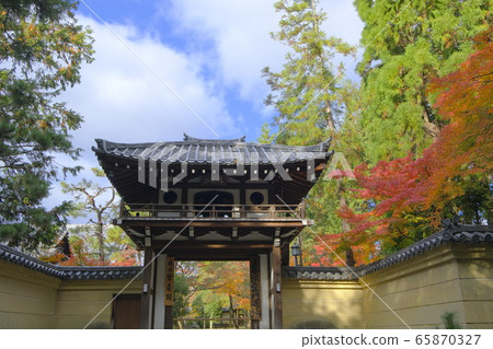Daitokuji Pagoda Ryuseiji Temple Sanmon autumn leaves 65870327