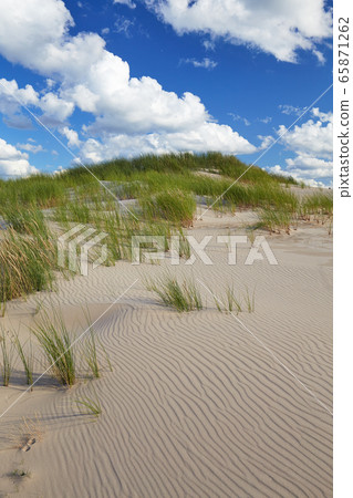 Leba sand dune 65871262