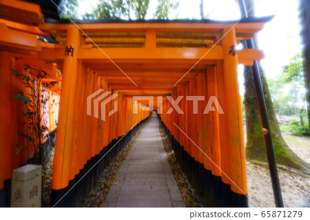 伏見稻荷 65871279