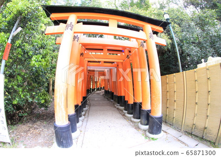Fushimi Inari Shrine Fushimi Inari Shrine 65871300