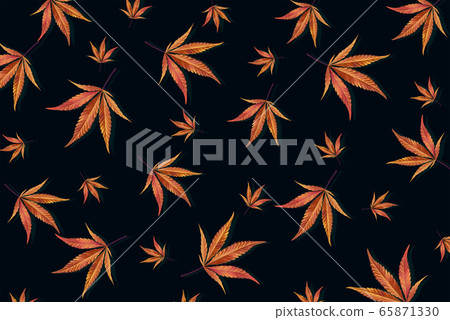 Trendy pattern of gold sheets, hemp, marijuana on black background. Minimum CBD Oil concept Trendy pattern of gold sheets, hemp, marijuana on black background. Minimum CBD Oil concept 65871330