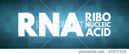 RNA - Ribonucleic acid acronym RNA - Ribonucleic acid acronym 65872328