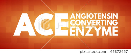 ACE - Angiotensin Converting Enzyme acronym 65872467