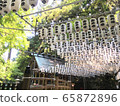 Paper lantern at Taga Shrine 65872896