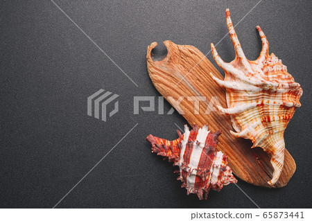 Sea shells on a dark background, flat lay 65873441