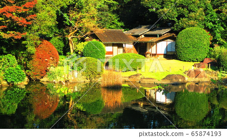 Tokyo National Museum garden landscape 65874193