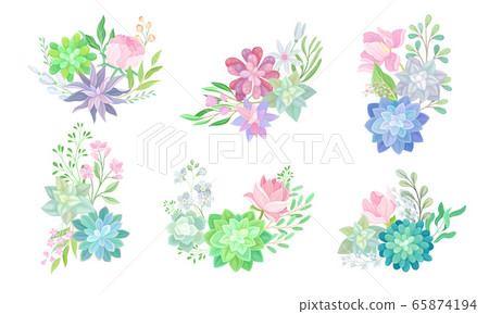 Floral Arrangements with Succulent Echeveria and Branches Vector Set 65874194
