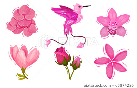 Pink Floral Decorative Collection with Lush Flower Buds and Bird Isolated on White Background Vector Set Pink Floral Decorative Collection with Lush Flower Buds and Bird Isolated on White Background Vector Set 65874286