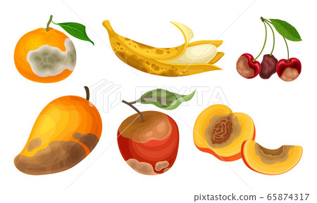 Garden Fruits with Skin Covered with Stinky Rot Vector Set Garden Fruits with Skin Covered with Stinky Rot Vector Set 65874317