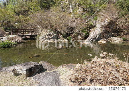 Omokage Gardener Pond 65874473