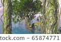 Red mangroves on Florida coast 65874771