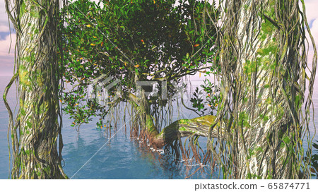Red mangroves on Florida coast 65874771