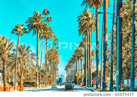 Urban views of the Beverly Hills area and 65875437