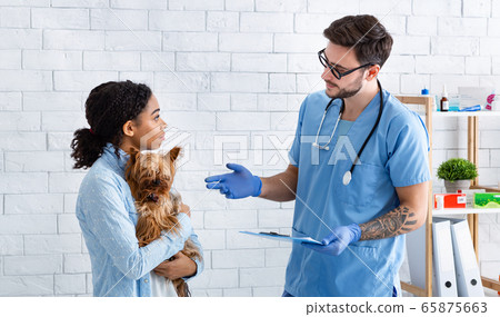 Experienced veterinarian doctor talking to client in medical office Experienced veterinarian doctor talking to client in medical office 65875663