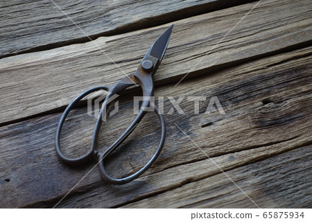 Pruning scissors Pruning scissors 65875934