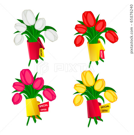 Vector set of spring flowers tulips with banners for text isolated on white background Vector set of spring flowers tulips with banners for text isolated on white background 65876240