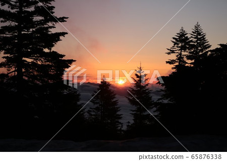 澀谷路線292上的日出和雲海黎明的風景 澀谷路線292上的日出和雲海黎明的風景 65876338